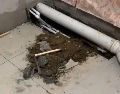 临河卫生间漏水检测哪家好