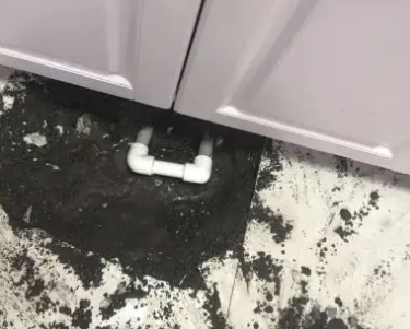 临河查漏水哪家好